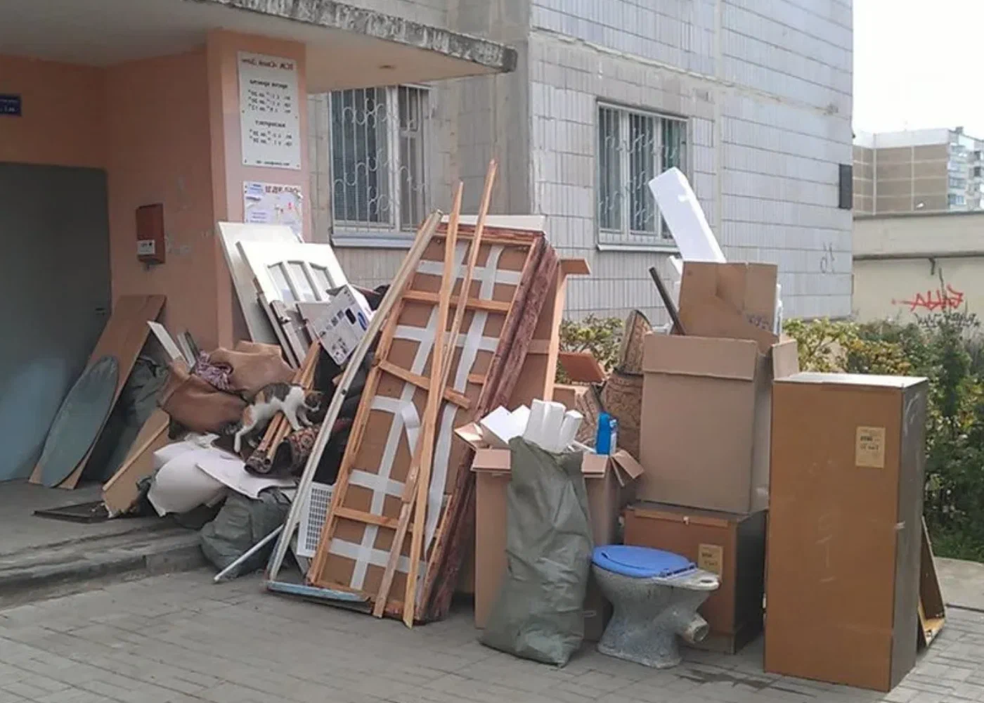 Профессиональный вывоз мусора из квартиры в Лесне в октябре