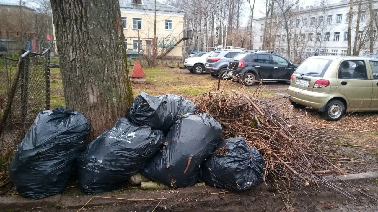 Вывоз мусора после субботника в Лесне от ПроМусор – уборка и утилизация отходов от 2443 руб
