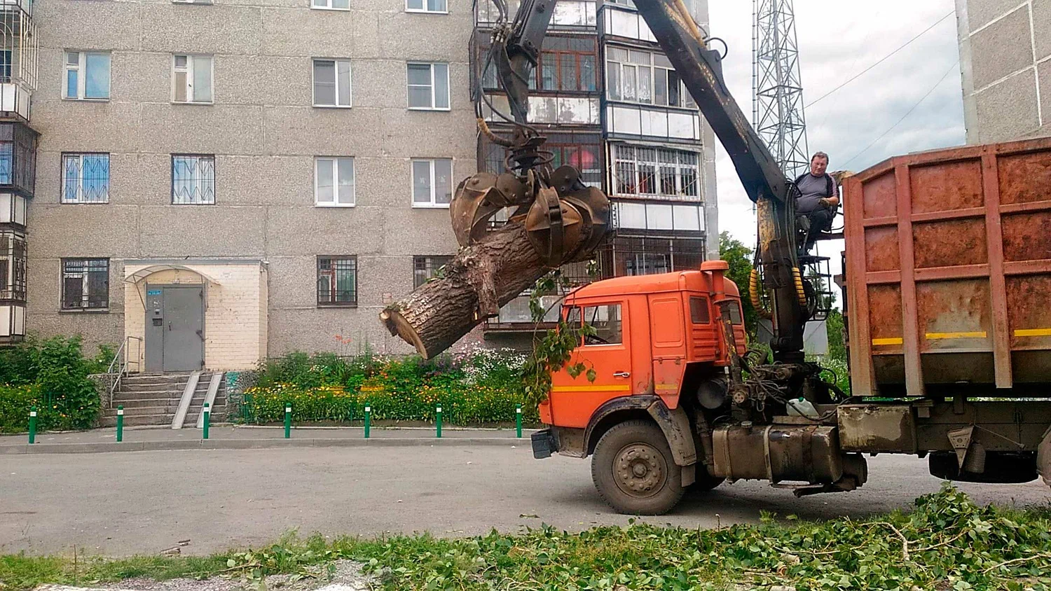 Вывоз спиленных веток и деревьев в Лесне от ПроМусор: порубочные остатки, утилизация, цена от 3015 руб