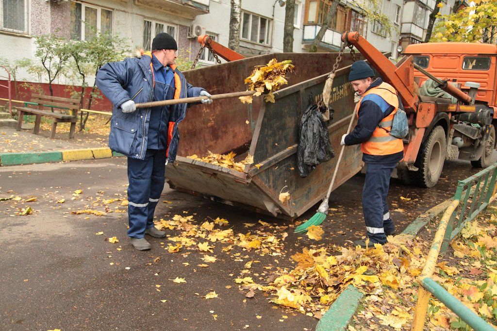 Вывоз опавшей листвы и растительного мусора в Лесне от ПроМусор – цена от 4678 руб., быстрая уборка и утилизация
